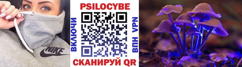 Галлюциногенные грибы Psilocybine cubensis  закладки  Елабуга 